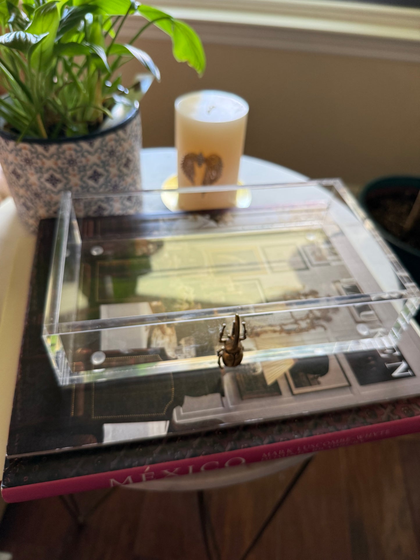 Golden Beetle Decorative Tray