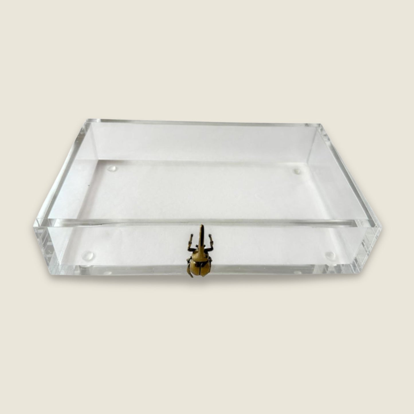 Golden Beetle Decorative Tray