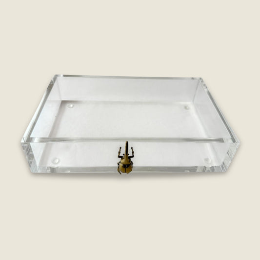 Golden Beetle Decorative Tray