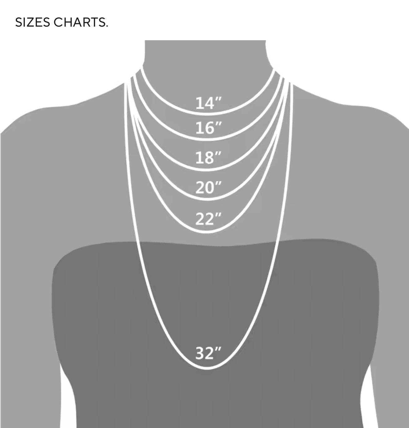 Shell Statement Necklace